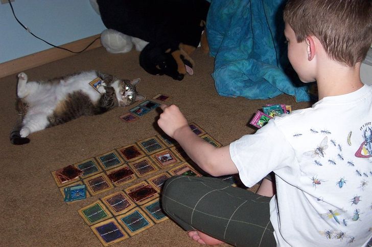 15 Pictures That Show How Patient Animal Love Can Be for Their Young Owners