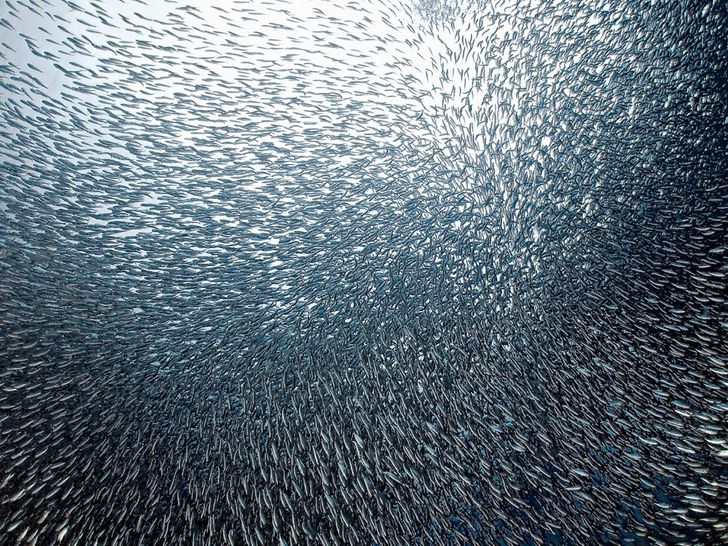 23 utterly amazing natural phenomena that are seemingly impossible