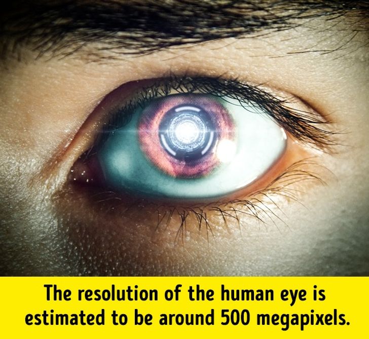 17 Facts About the Human Body That Will Send Chills Down Your Spine