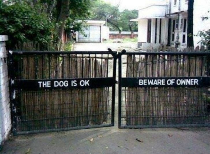 15+ Funny “Beware of the Dog” Signs and the Very Dangerous Dogs Behind Them