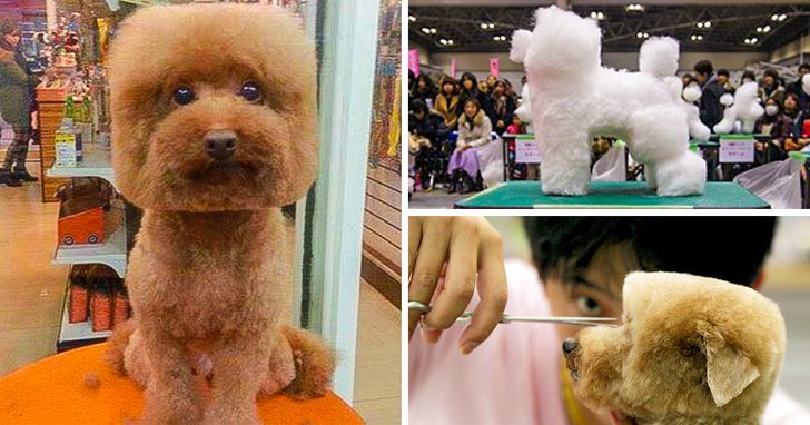 30 Things Proving That Japan Lives in 3019