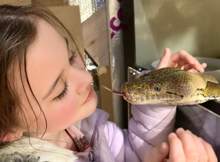 Father Thinks Snakes Are Harmless, Lets Daughter Play With Pet Python