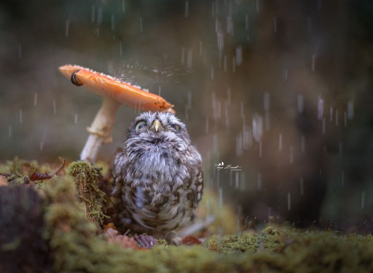 The 20 best photos of the month you just can’t take your eyes off of