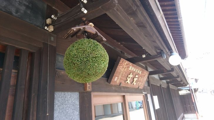 28 Things You Can Only See in Asia