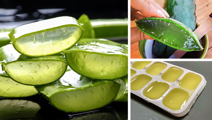 9 Ways to Use Aloe Vera That Сan Make Your Life Easier