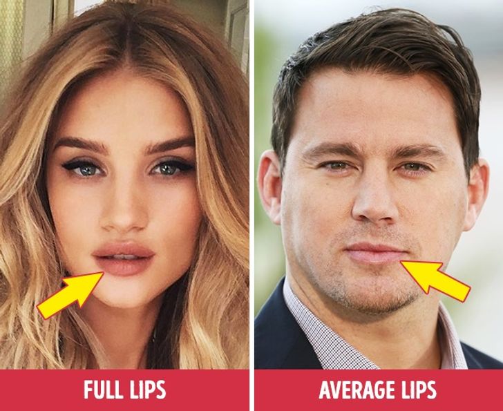 Most attractive features on a woman
