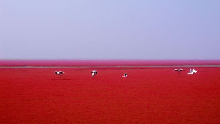 25 photos that prove the world is an utterly wonderful place