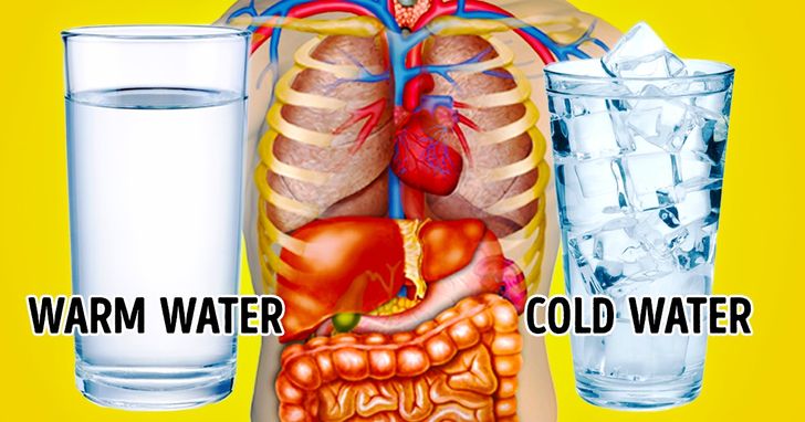 Warm or Cold Water? Make Your Choice and See What Happens to Your Body