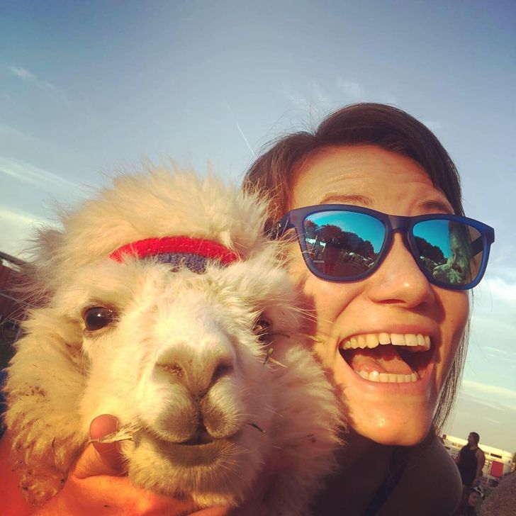 19 Animals that Steal All the Thunder in Their Selfies