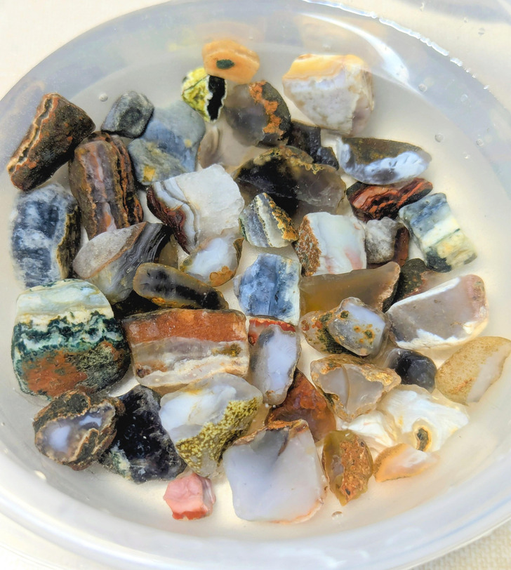 A 5-Year-Old Wanted to Hunt for Gemstones at the Beach, and the Best of 100 Finds Made the Cut
