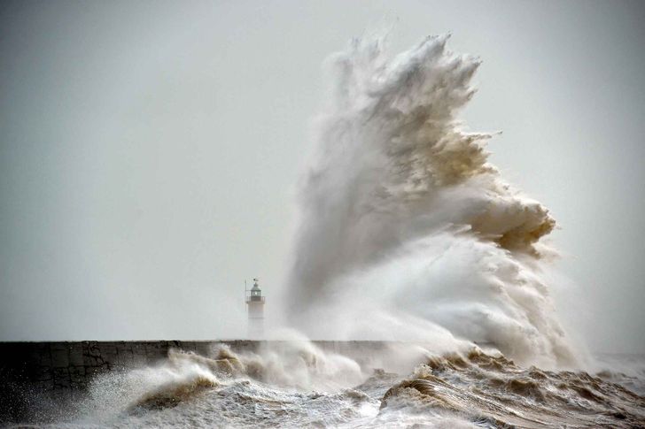 25 photos that prove the world is an utterly wonderful place