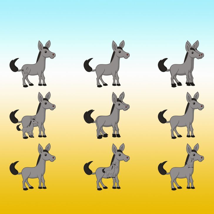 How many donkeys do you see in the picture below?