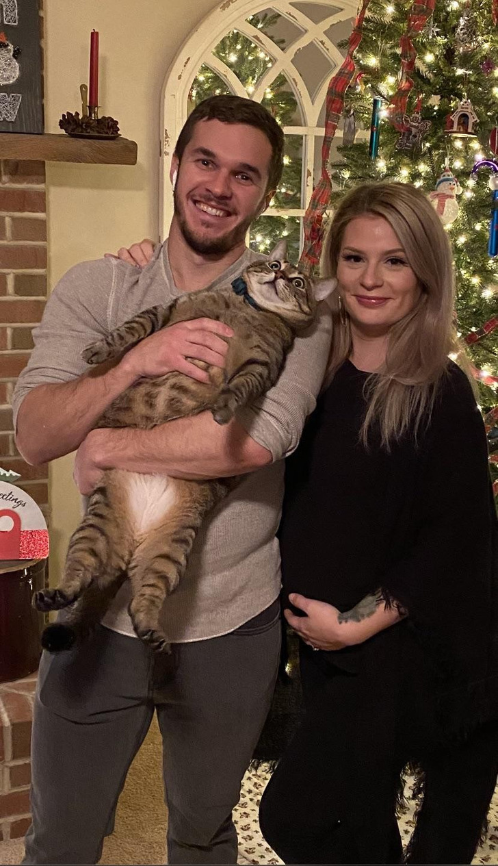 A Cat Who Made It Clear He Was Done With the Christmas Photo, Right Before He Escaped