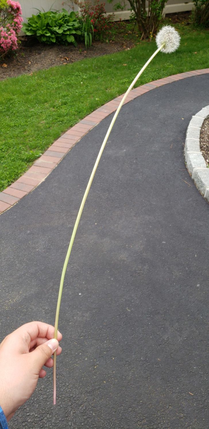 17 Photos That Prove the World Is Still Filled With Amazing Things