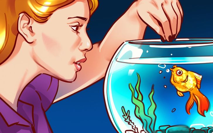 4 arsyet pse mbajtja e një akuariumi në shtëpi ju ndihmon në jetë