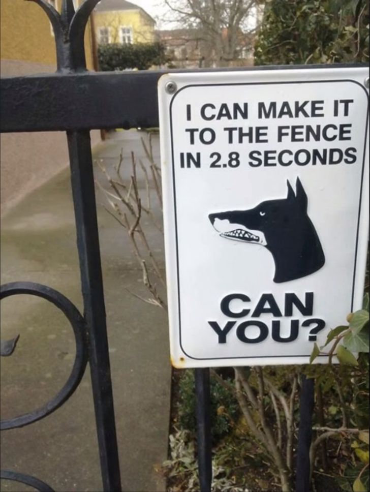 17 Hilarious "Beware of the Dog" Signs and the Unexpected Dogs Behind