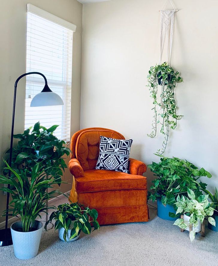 20+ People That Love House Plants More Than Candy