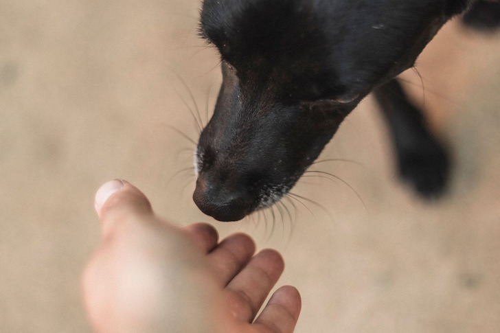 Why the Scent of a Familiar Person Matters So Much