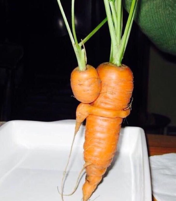 24 Hilariously Misleading Things That Will Make You Look Twice