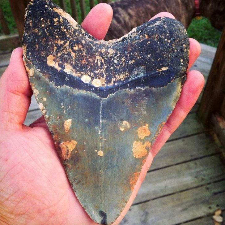 25 Unexpected Finds That Raise Too Many Questions