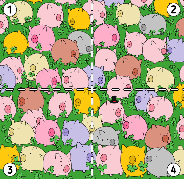 Can you find the 4-leaf clover?