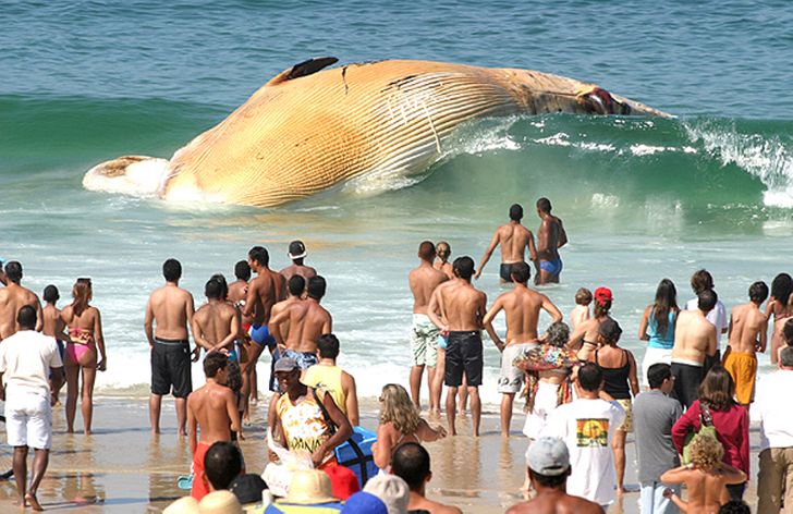 17 Seriously Mind-Blowing Pictures Untouched by Photoshop