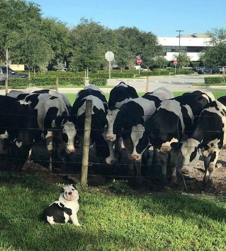 16 Mind-Boggling Photos That Captured the Magic Moment