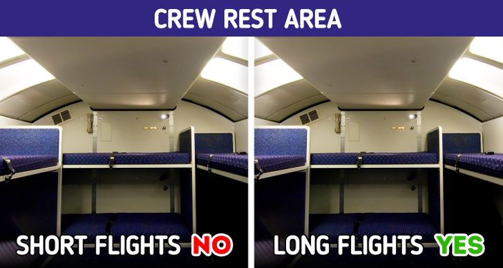20+ Ordinary Things That Flight Attendants Aren’t Allowed to Do on Board