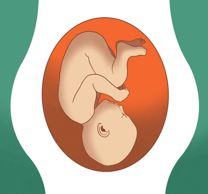 What Different Baby Positions Mean During Pregnancy