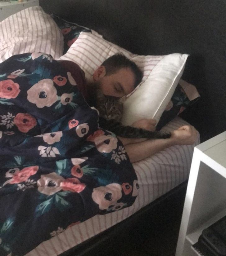 İnsanlar 16 tatlı fotoğrafları evcil hayvanlarıyla selâmetle uyurken yakalandı