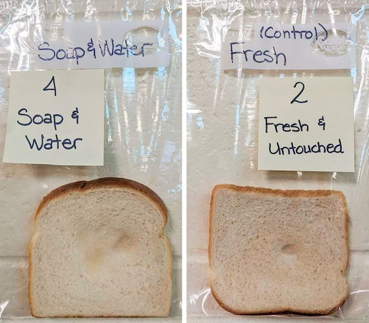 A Teacher Did an Experiment to Show the Power of Handwashing, and You Can’t Stay Unimpressed