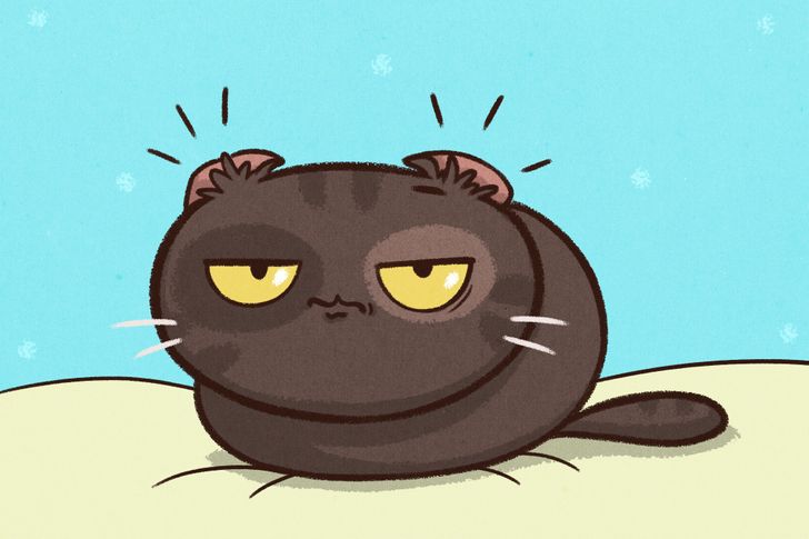 13 Comics About What We Do to Our Pets
