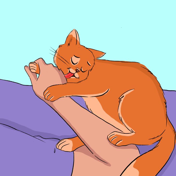 10+ Ways Your Cat Says, “I Love You”