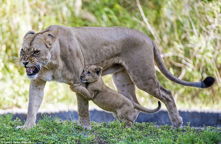 The 20 best photos of the month you just can’t take your eyes off of