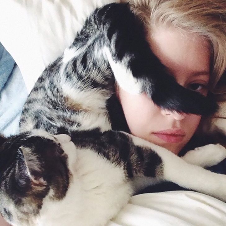 18 ridiculous cats who don’t understand the meaning of personal space