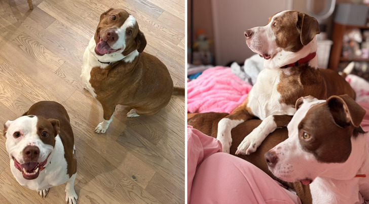 A Father and Son Who Spent 2 Years in Foster Before Someone Took Both