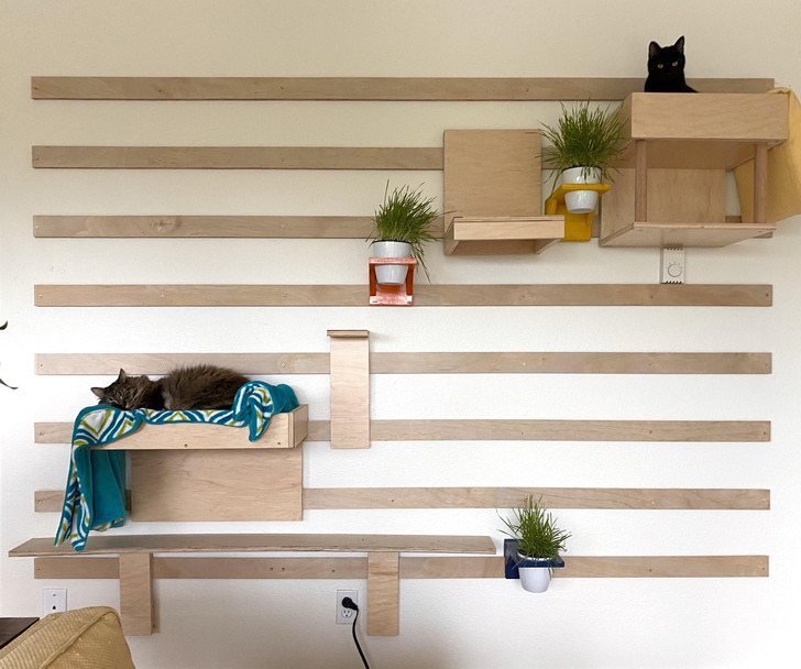 Dad’s Adjustable Cat Wall for the Grandkitties