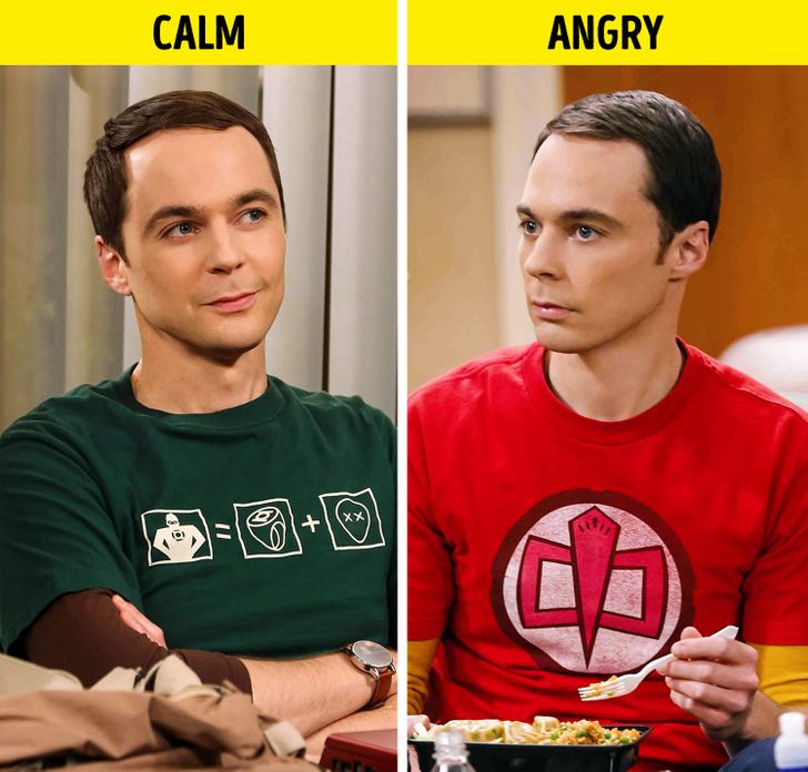 15 Facts About “the Big Bang Theory” Even The Most Devoted Fans May Not Know About 8939