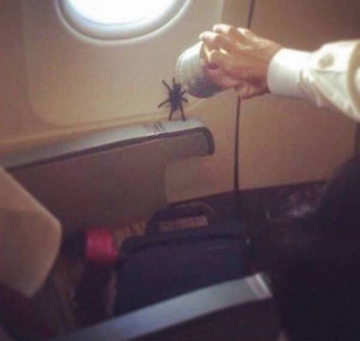 The 15 Craziest Things That Have Ever Happened During a Flight