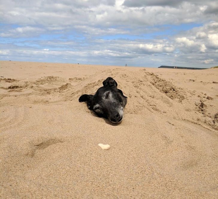 17 Photos That Prove the World Is Still Filled With Amazing Things