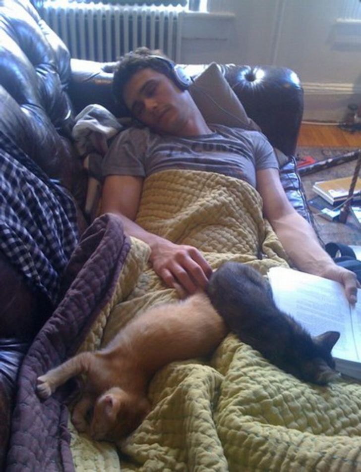 15 handsome men with their kittens