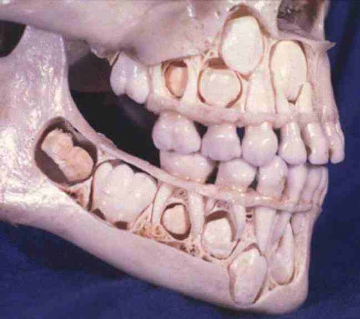 25 unbelievable things you probably never even knew existed