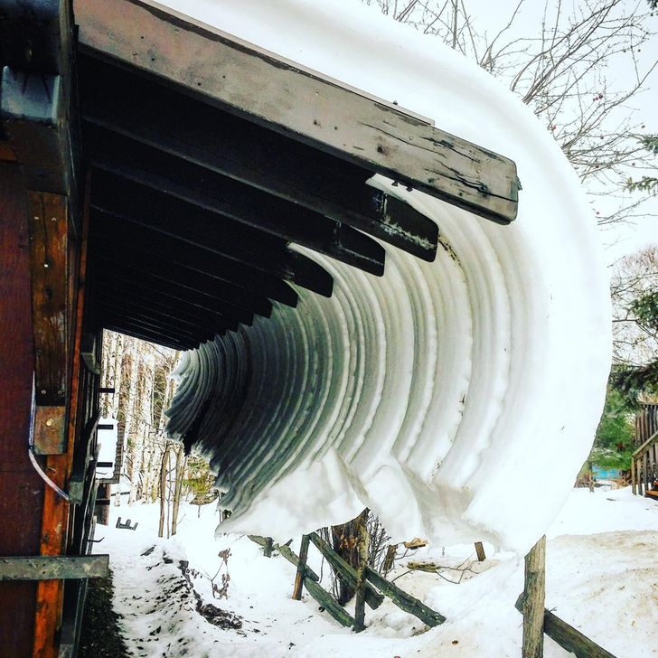 28 Icy Photos Proving Winter Is Not for the Faint-Hearted