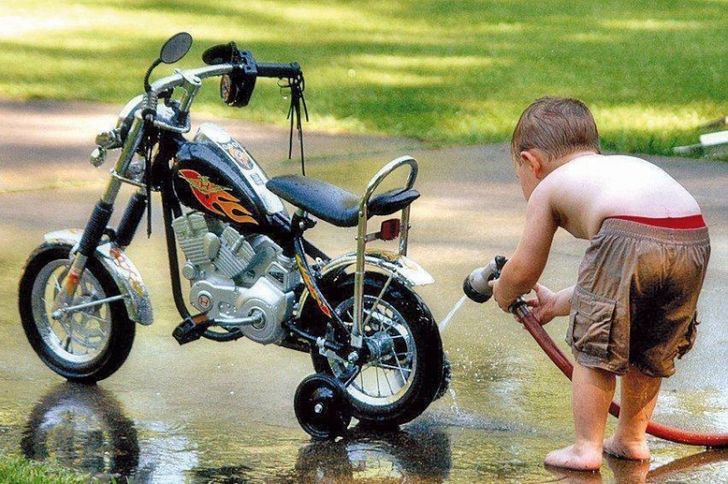 11 Little Guys Who Will Kick Your Ass at Maturity