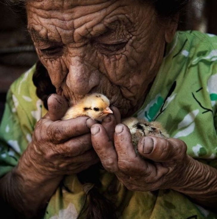 14 heart-warming photos of our love for animals / Bright Side