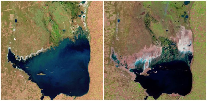 Earth, Then and Now: Dramatic Changes in Our Planet Revealed by Incredible NASA Images