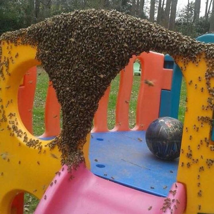 22 foto absurde ku gjithçka duket e gabuar