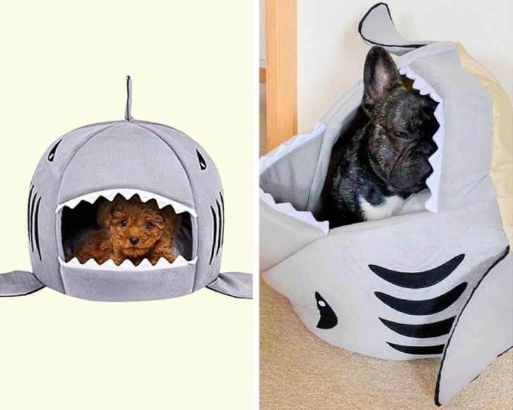 20+ People Who Bought Cool Gifts for Their Pets but Weren’t Ready for Their Reaction