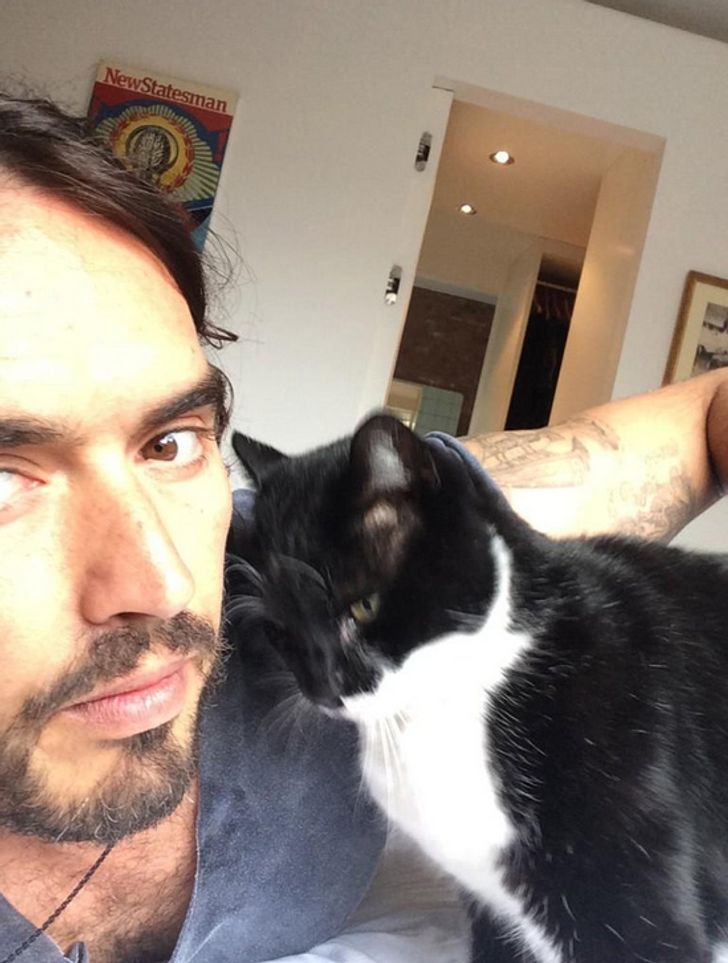 15 handsome men with their kittens