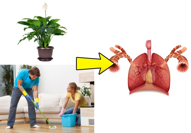 10 Unexpected Ways To Free Your Body from Toxins and Shine With Health